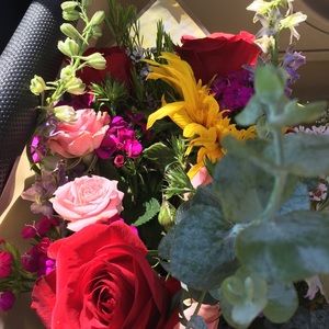 Meet your Posher, Mikayla